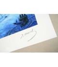 Christo à Vau l'eau - COP 77 - Estampe numérigraphique - Dominique Vervisch - Signature • détail