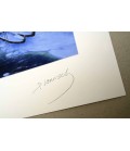 Meilleurs souvenirs du musée Claude Monet - Estampe numérigraphique - Dominique Vervisch - Signature • détail